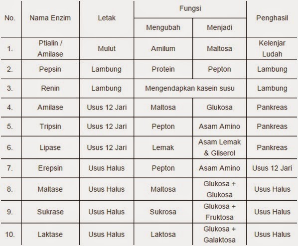Neverland: November 2014