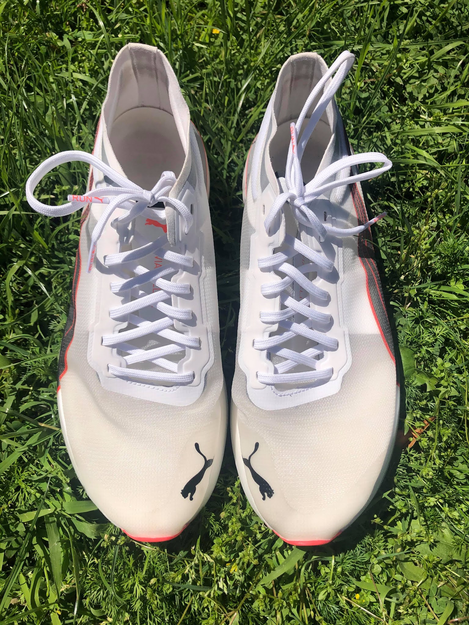 PUMA Deviate Nitro Elite Multiple Tester Review - DOCTORS OF RUNNING
