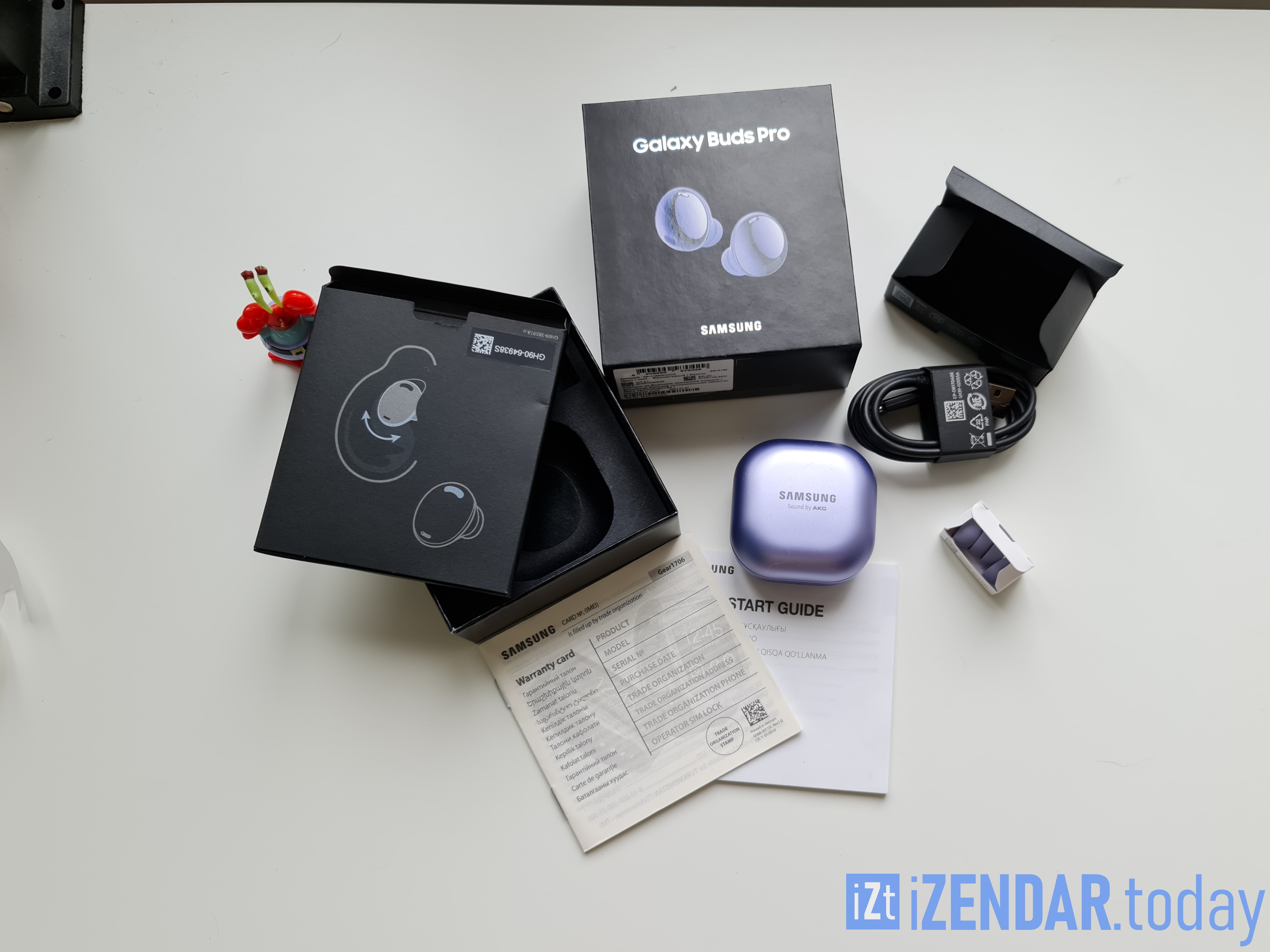 Samsung Galaxy Buds Pleer