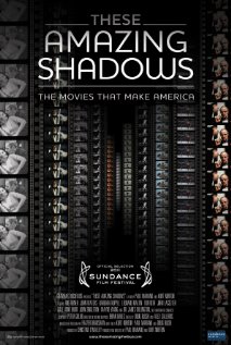 These Amazing Shadows (2011) DVDRip 350MB