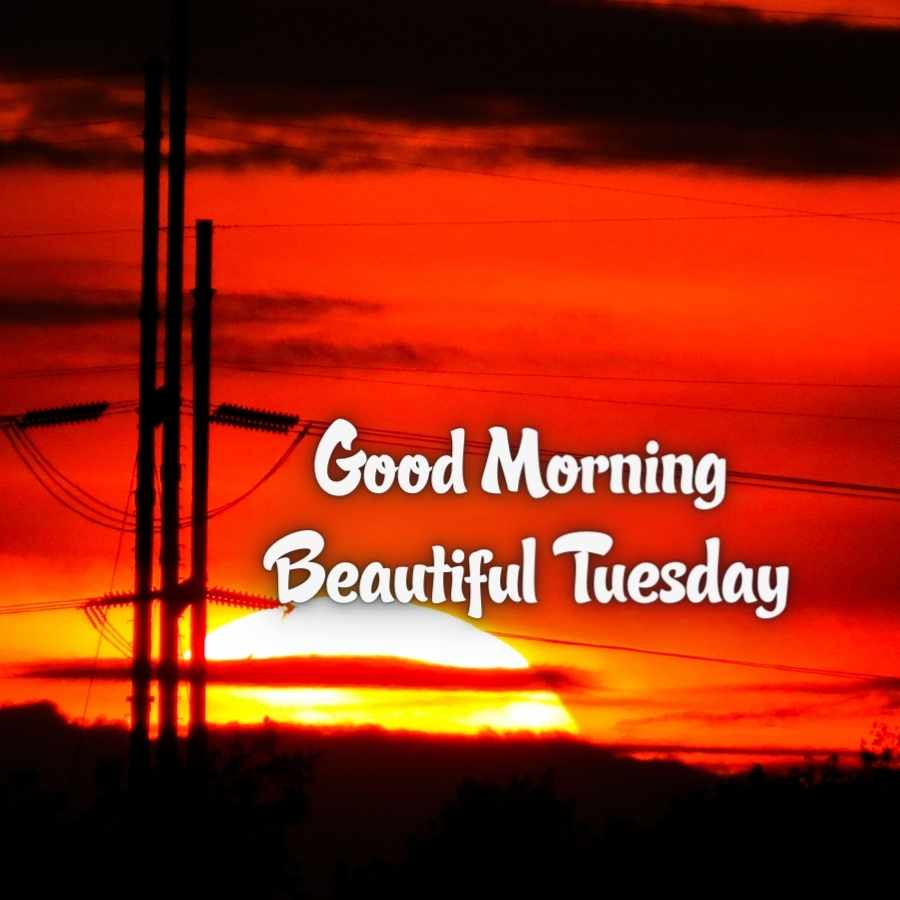 good morning tuesday love images