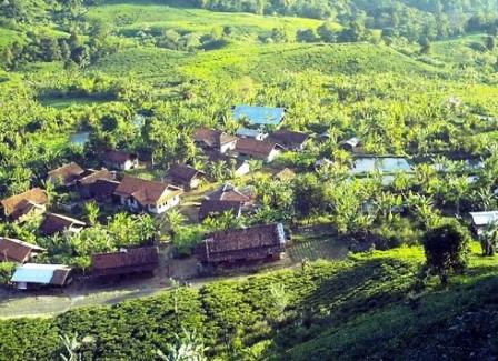Sumedang, Jawa Barat kawasan perkebunan tеh Margawindu