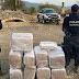Operativos interinstitucionales logran aseguramiento de 153 kilos de droga en Michoacán