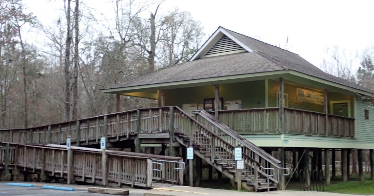 Escape to Louisiana's Hidden Gem: Tickfaw State Park