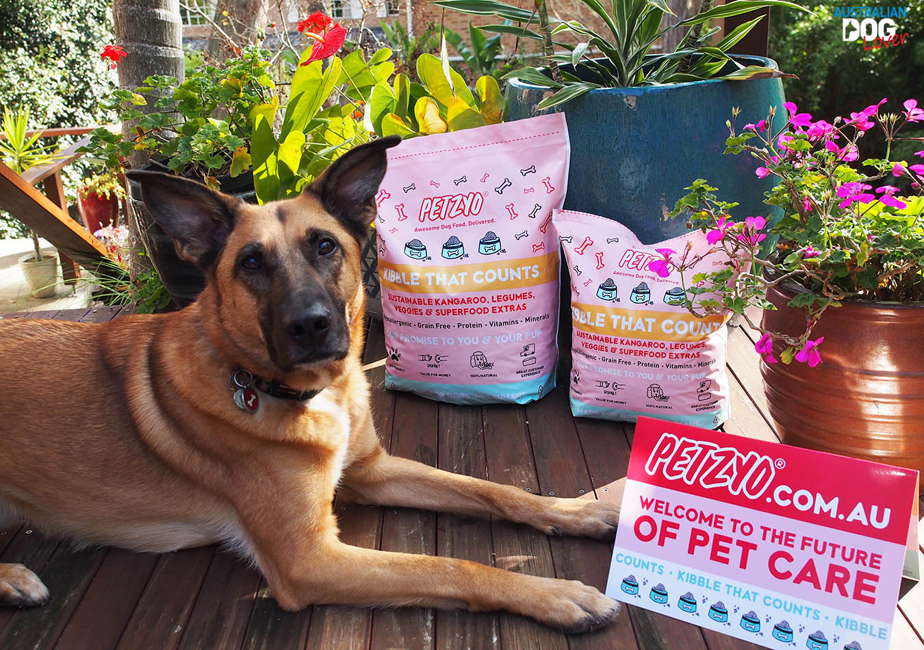 Petzyo GrainFree Dog Food Review Australian Dog Lover