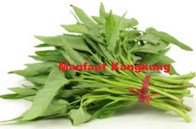 kangkung selain memiliki zat besi, kangkung juga sangat bermanfaat untuk kesehatan