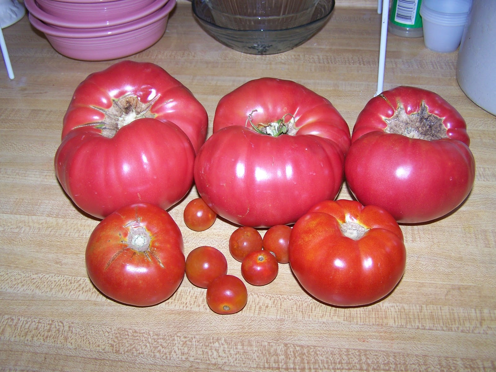 Writing in the Blackberry Patch What Kind of Tomatoes do you Grow?