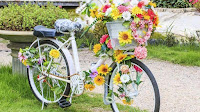 Decorar el jardín con bicicletas viejas, plantas y flores 