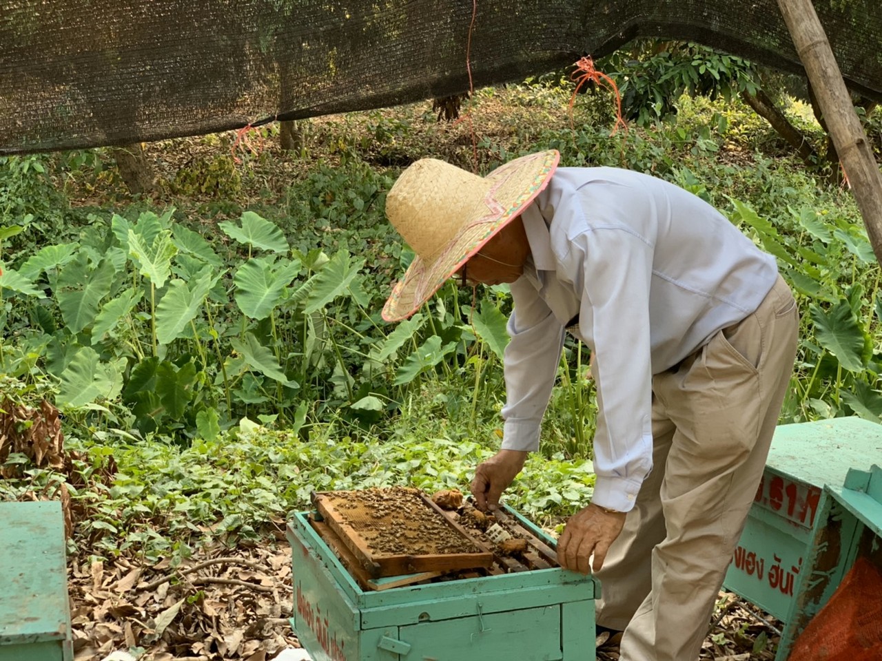 滿誠蜂蜜 好品質得來不易 滴滴都是堅持和用心