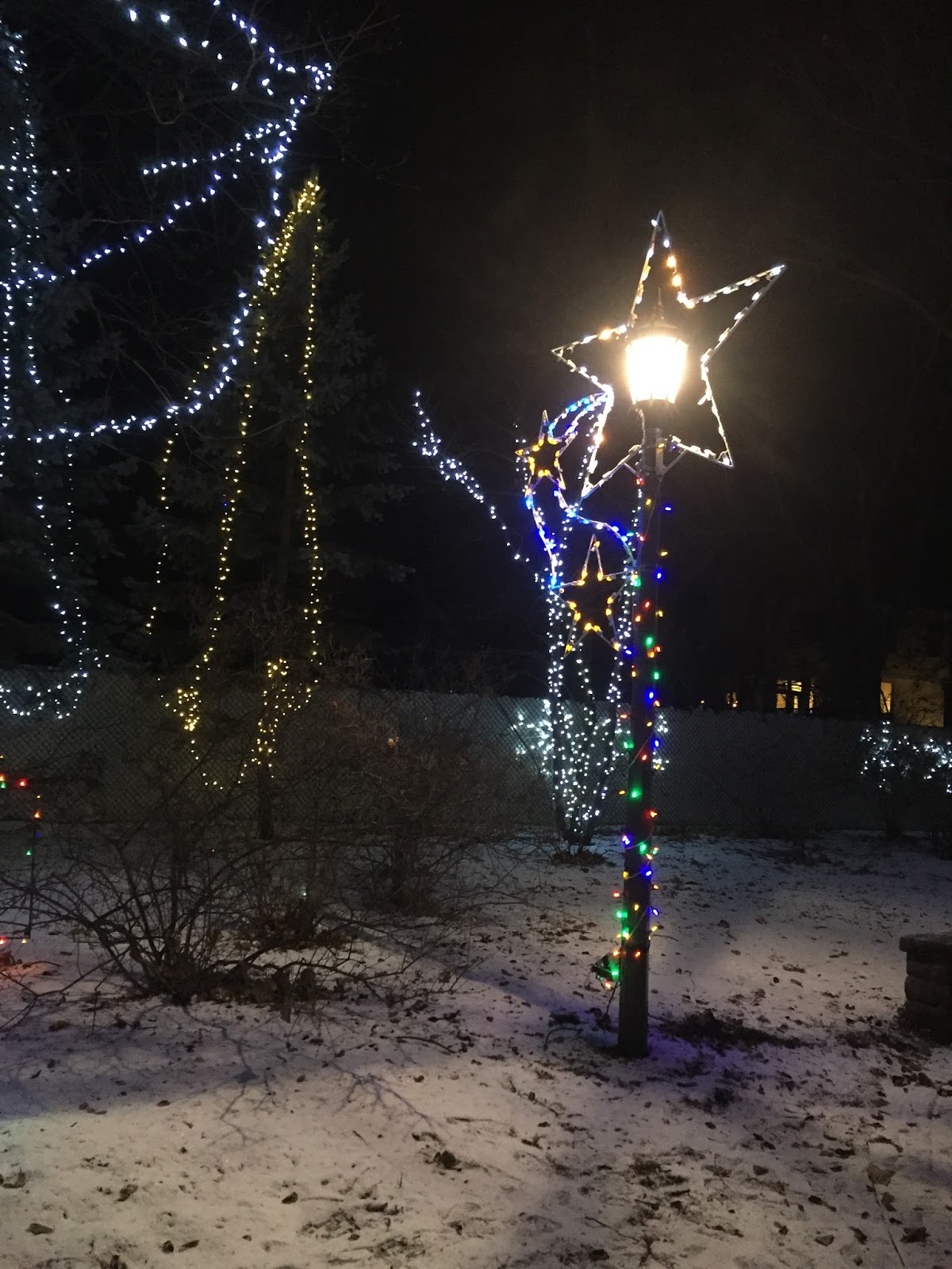 A Little Time and a Keyboard Holiday Lights at Lilacia Park in Lombard, Illinois