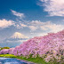 Sapa, Da Lat - Where to welcome the most beautiful spring in Asia