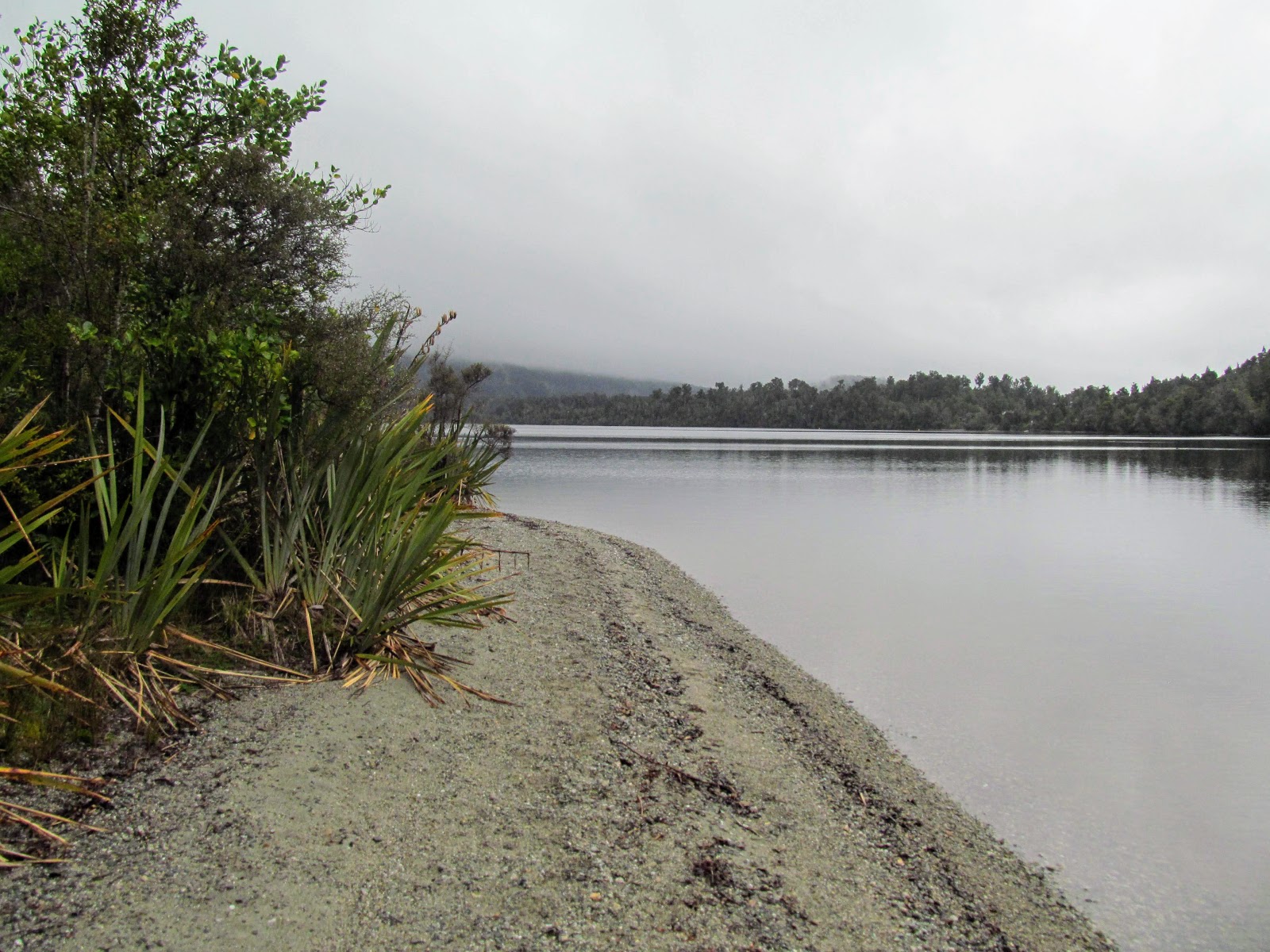 Tramping in the New Zealand backcountry NZ Bush Adventures Hokitika