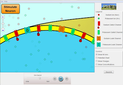 Virtual Biology Simulations using PhET: Sample Lesson Plan