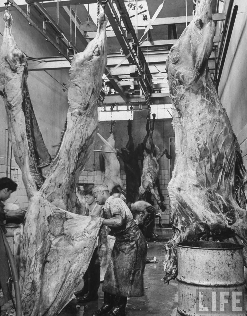 During World War II, Lots of Americans Ate Horse Vintage Everyday