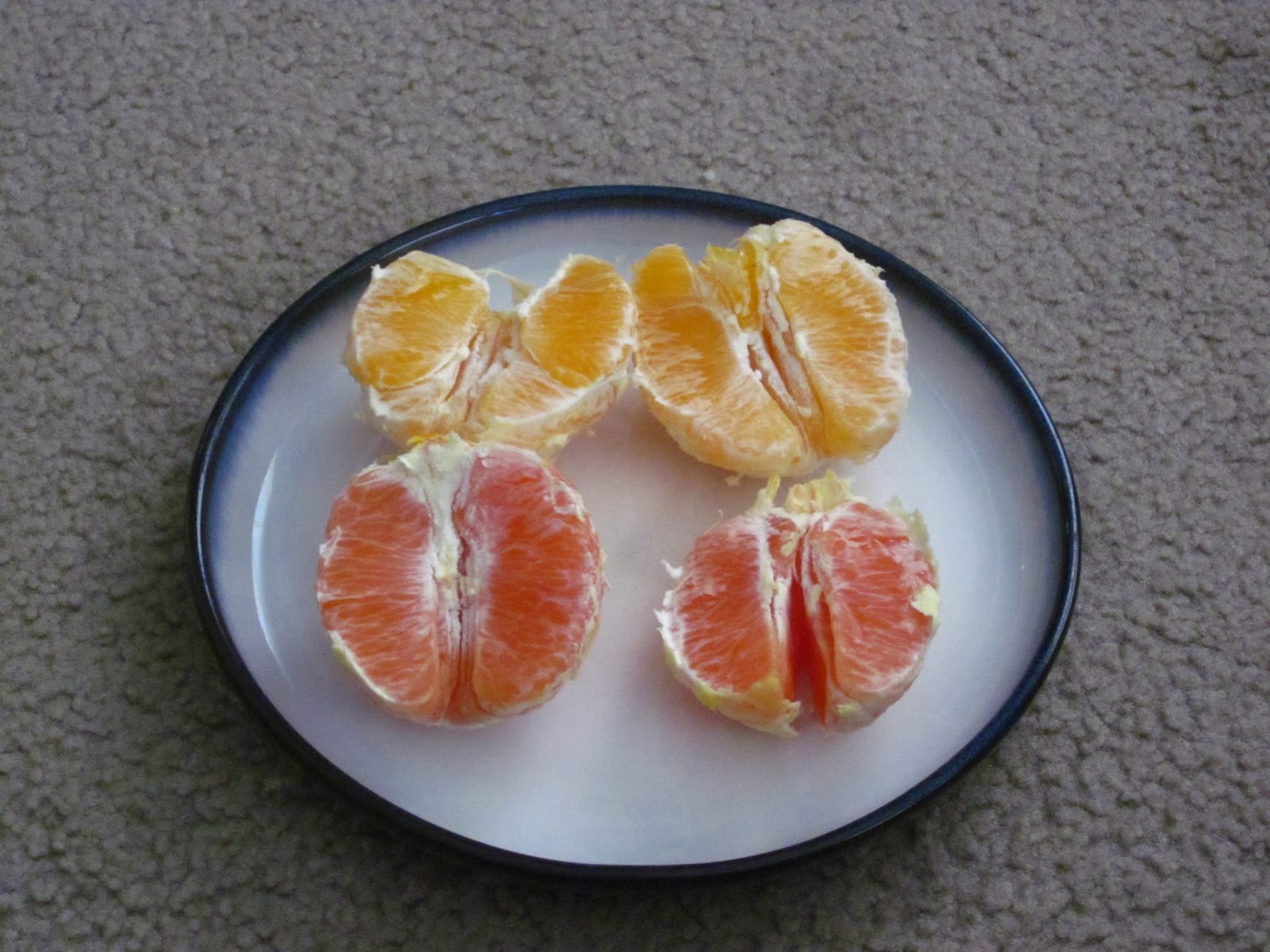 Gonzo Cuisine Cara Cara Navel Oranges