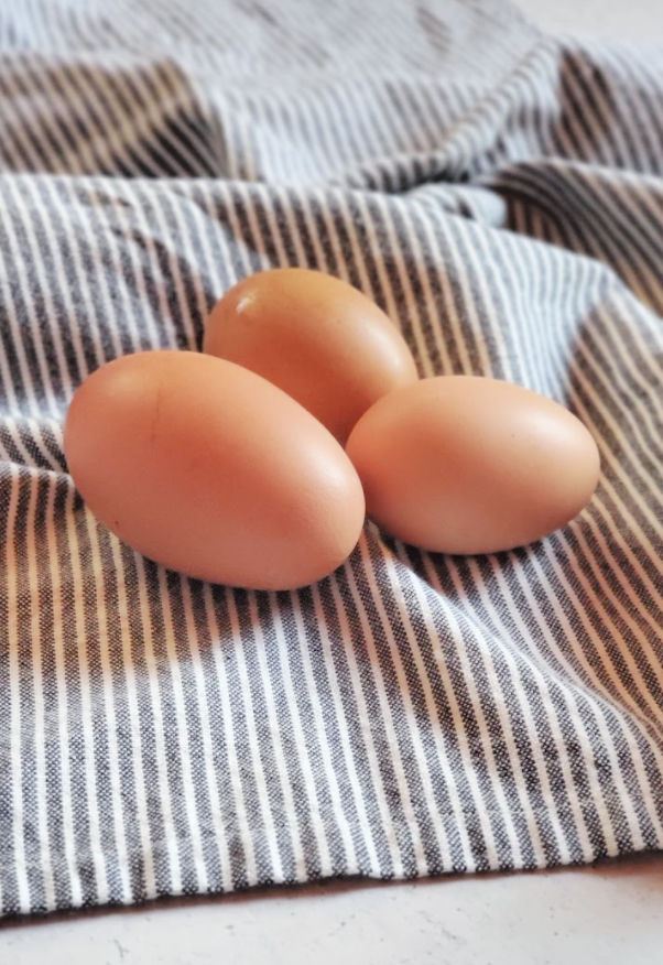 All About Double Yolk Chicken Eggs Fresh Eggs Daily® with Lisa Steele