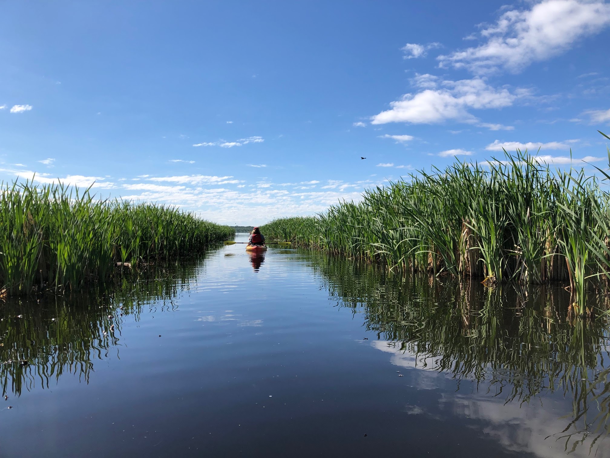 Canoeing Around Edmonton, Alberta, Canada Sandy Lake