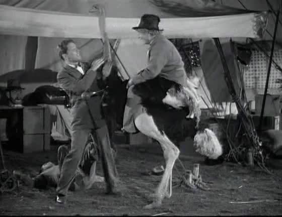 Una tarde en el circo (1939) Los Hermanos Marx | Comedia