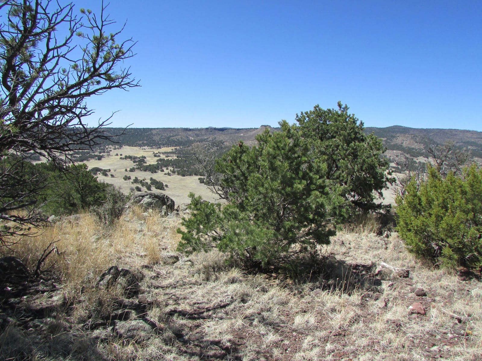 Tumbleweed Crossing Springerville, Arizona