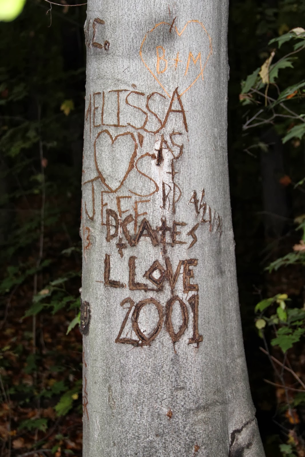 Isabella Conservation District Environmental Education Program The 