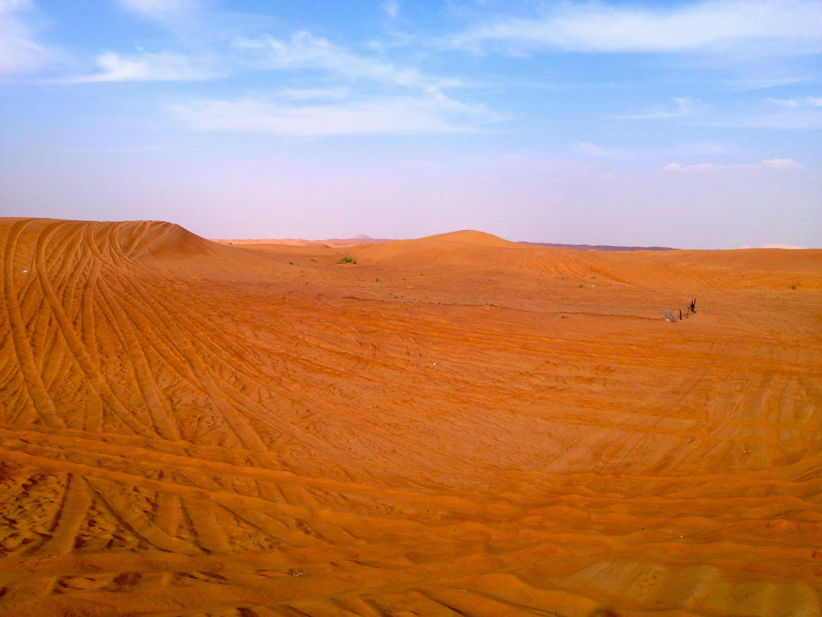 Dubai og dens vakre ørken