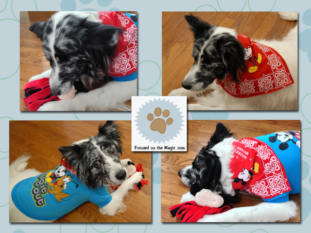 New PetSmart Disney Apparel and Toy Line