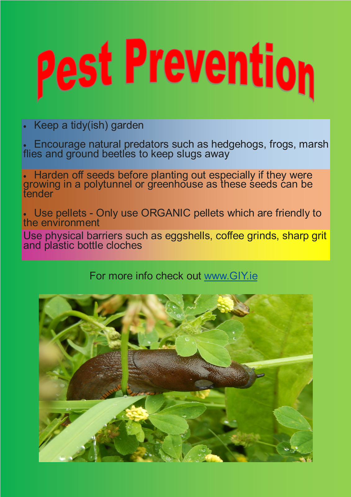 Gardening with Aideen Pest Prevention and Soil Sligo Community