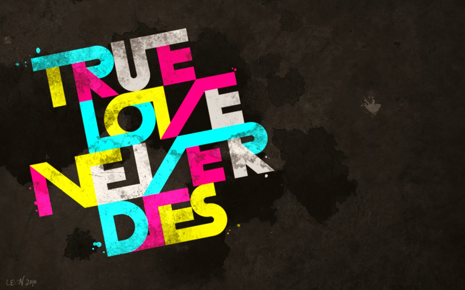 true love never s
