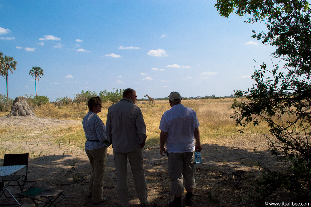 Visions of Wild In Africa's Botswana | Okavango Delta Safari