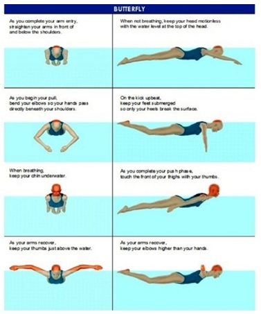 Macam macam Gaya Renang dan Gambarnya Serta Tekniknya - Website Olahraga