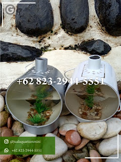 Sale 62 823 2944 5551 Jual Aquarium Mini Unik