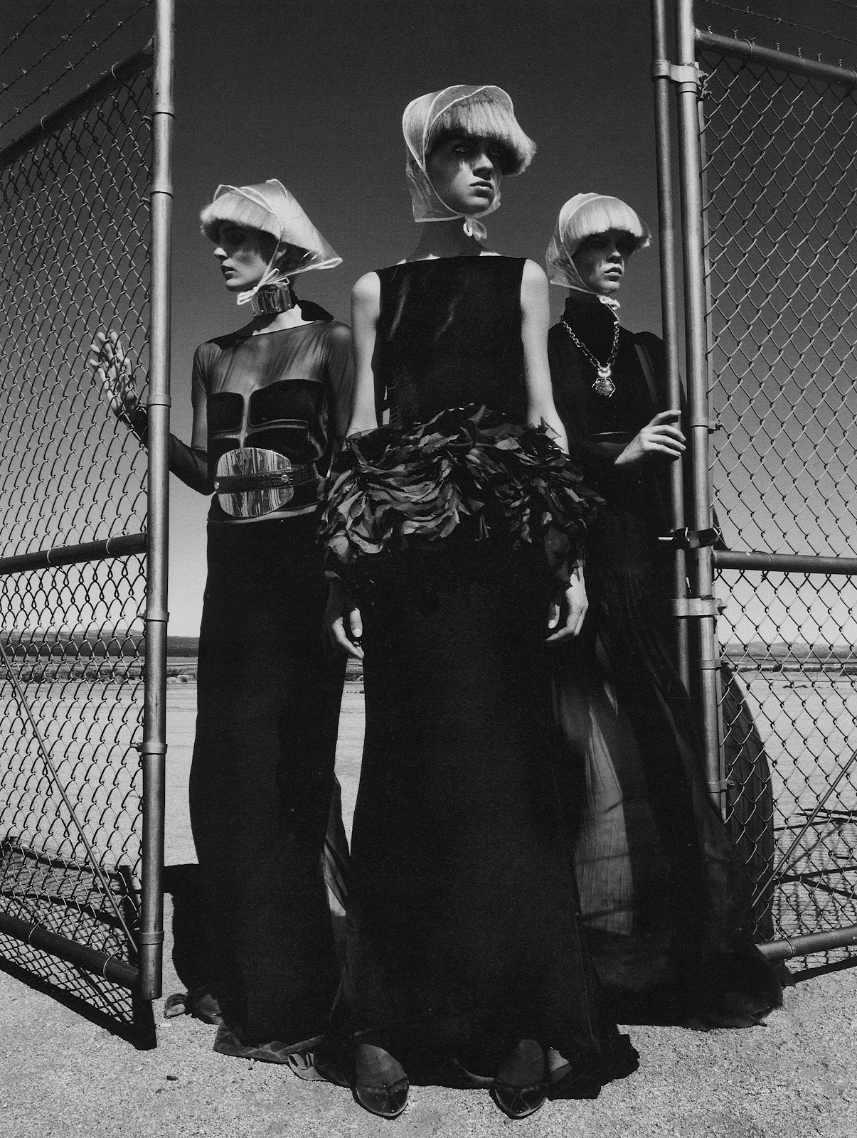 fierce creatures: meghan collison, magda laguinge and zuzanna bijoch by ...