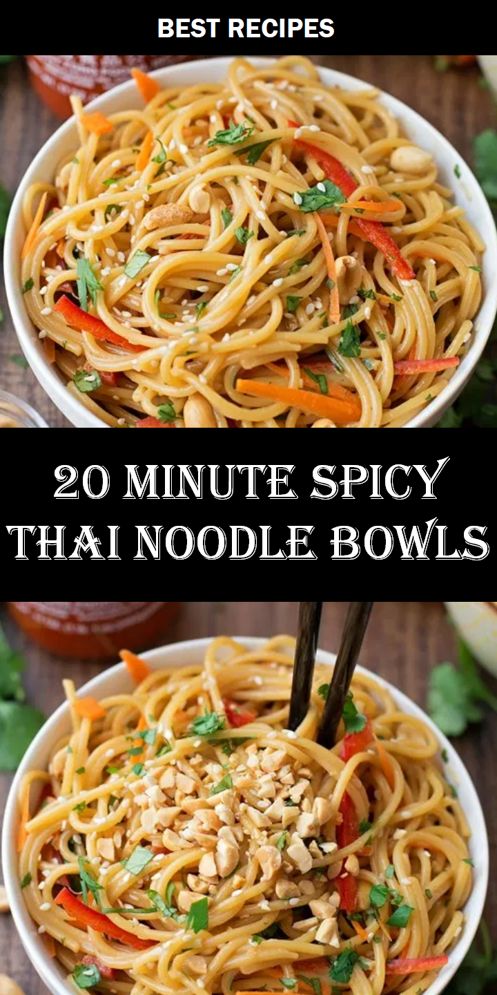 20 MINUTE SPICY THAI NOODLE BOWLS chickenenchiladacasserole