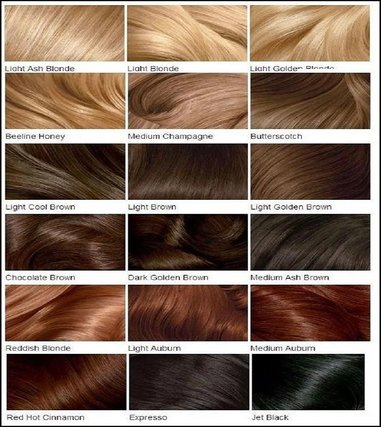 Clairol Hair Color Shades