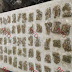 Asegura SSP a uno en posesión de 841 gramos de marihuana, en Jacona
