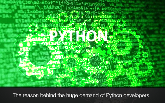 Python development services