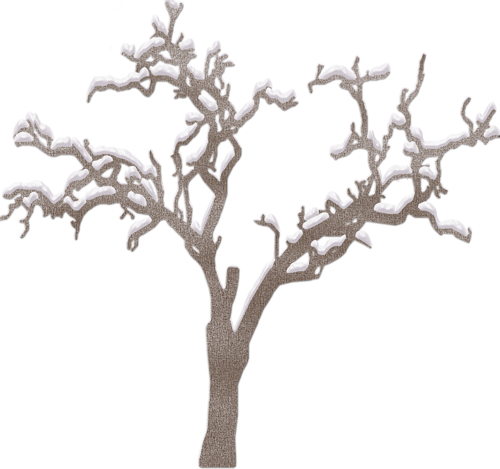 ствол дерева на прозрачном фоне. дерево на белом фоне. снежные деревья на прозрачном фоне. картинка зимние деревья на прозрачном фоне. зимнее дерево для детей.