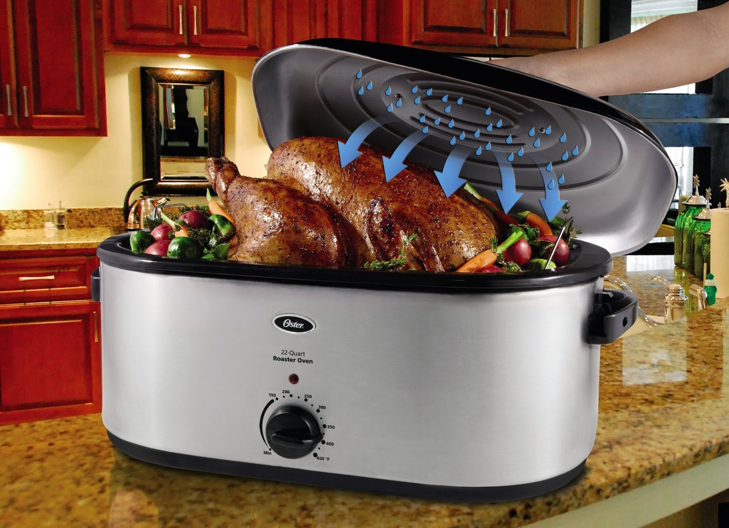 Oster Electric Roaster Manual