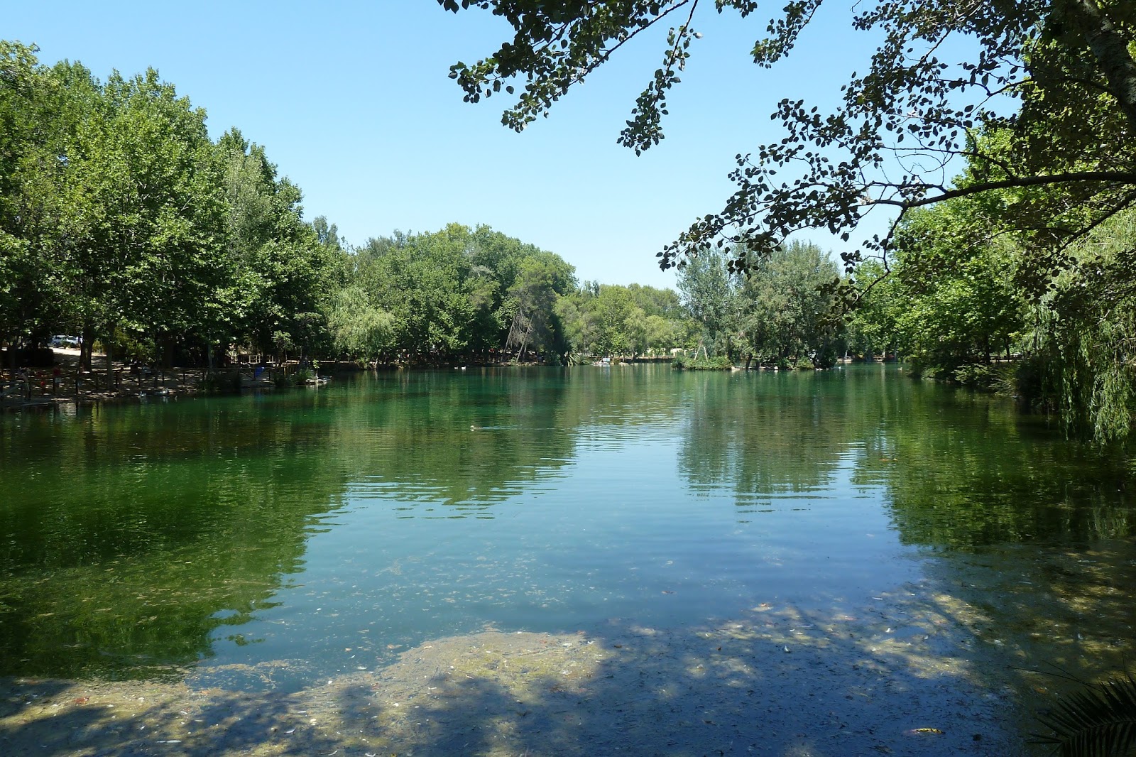 EL BLOG DE KILIAN LÓPEZ: El lago de Anna