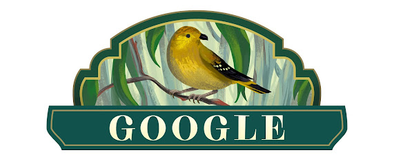 Today’s Google Doodle featuring the forty-spotted pardalote, one of Australia’s rarest birds