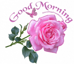 Animated Good Morning Images for Whatsapp