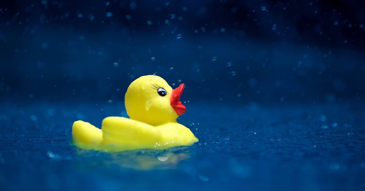 Wallpaper Yellow Duck Toy