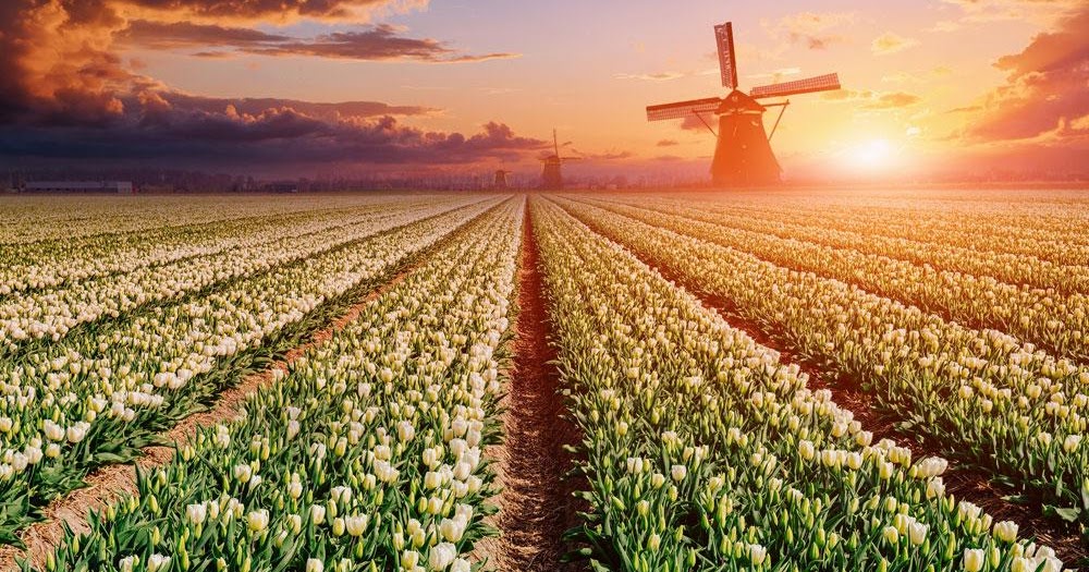 هولندا تعلن أنها ستغير اسمها في المحافل الرسمية والدولية والسبب