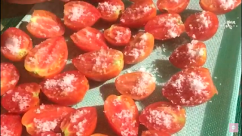 Conserva de tomate seco no sol  em azeite