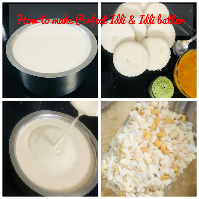 how-to-make-perfect-idli-&-idli-batter-recipe