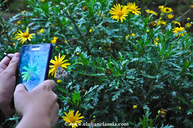 Baguio Botanical Garden 