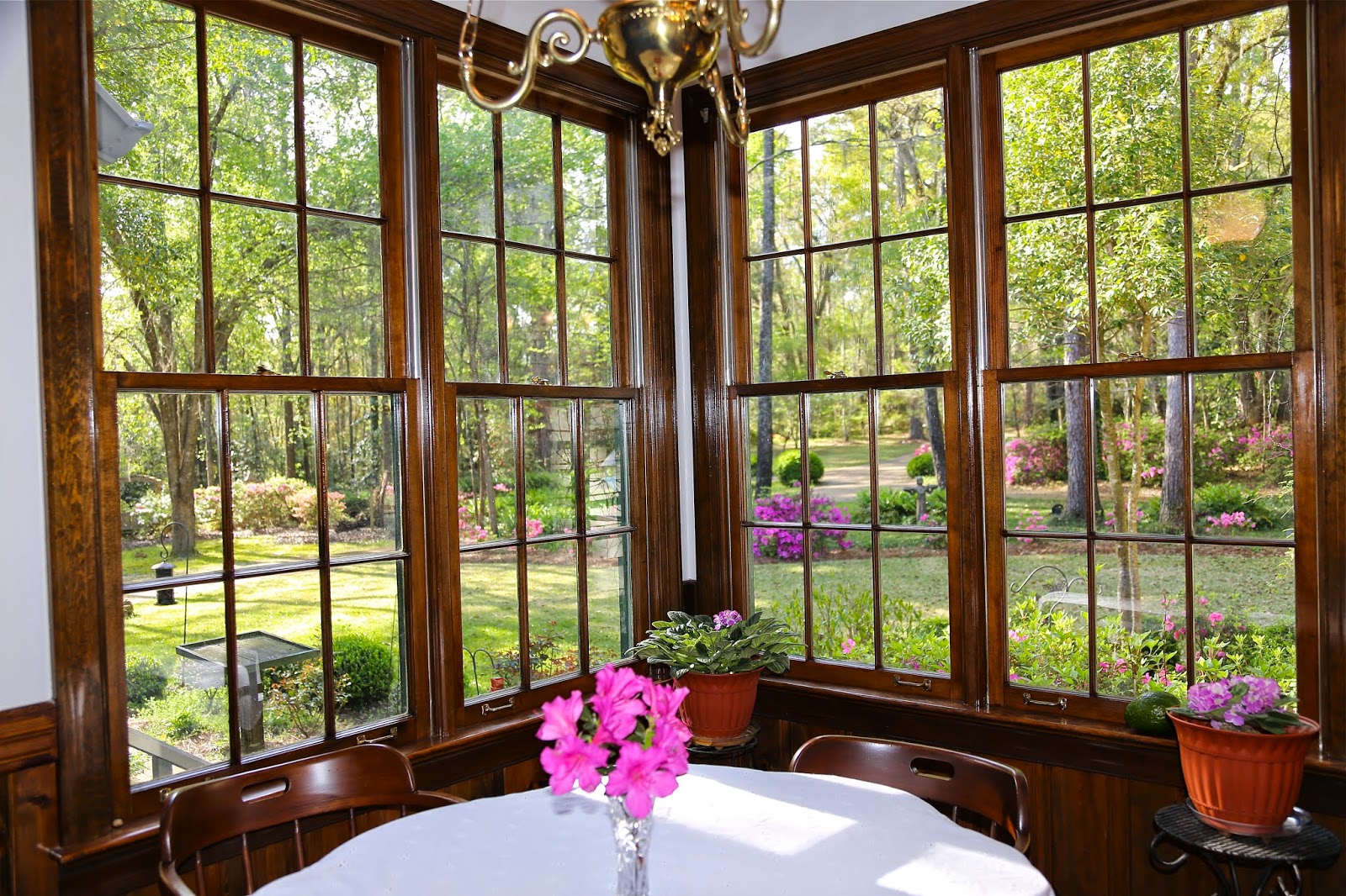 Sweet Southern Days: The Azaleas Are Blooming