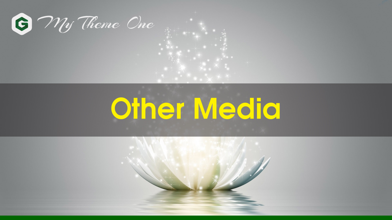 Đoạn Code Other Media Trong My Theme One