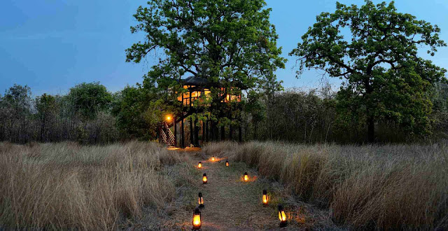 tree house accommodation