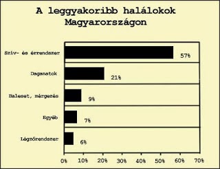 szív és érrendszeri betegségek magyarországon